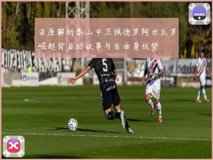 苗原解析泰山中卫佩德罗阿尔瓦罗崛起背后的故事与自由身优势